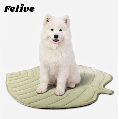 Felive™ - Bladvormige Cool Mat