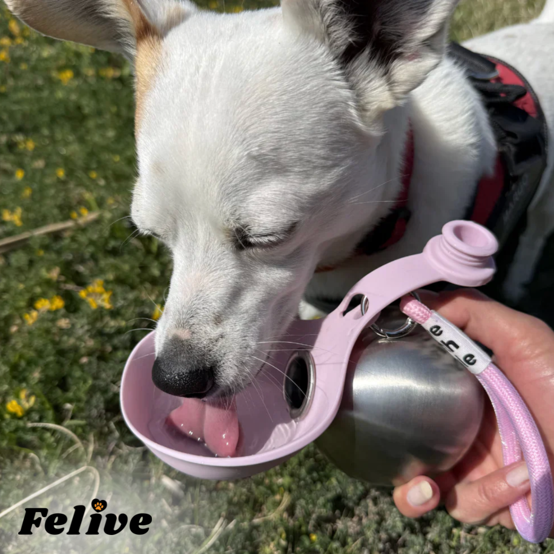 Felive™ - Fris water. Altijd en overal!